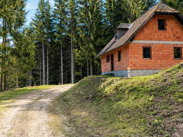 Immobilie in Weißkirchen in Steiermark - Almliegenschaft Stubalpe | Massiv-Rohbau zum Eigenausbau | 5.000 m² Privatforst & Quelle - Bild 1