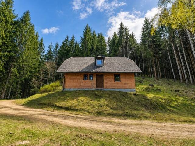 Immobilie in Weißkirchen in Steiermark - Almliegenschaft Stubalpe | Massiv-Rohbau zum Eigenausbau | 5.000 m² Privatforst & Quelle - Bild 2