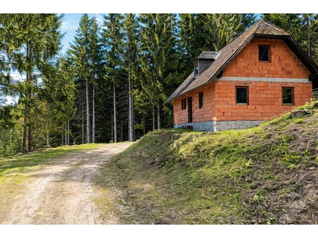 Immobilie in Weißkirchen in Steiermark - Almliegenschaft Stubalpe | Massiv-Rohbau zum Eigenausbau | 5.000 m² Privatforst & Quelle - Bild 4