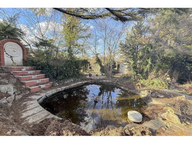 Immobilie in Eggendorf - Idyllisches Haus mit Pool und einen parkähnlichen uneinsehbaren Garten - Bild 1