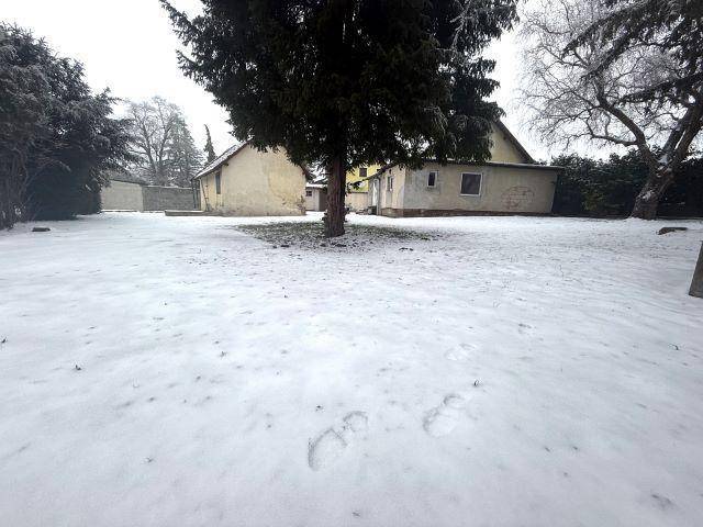 Immobilie in Ebreichsdorf - Ebreichsdorf - Das ist die Chance für die Fleißigen .. - Bild 2