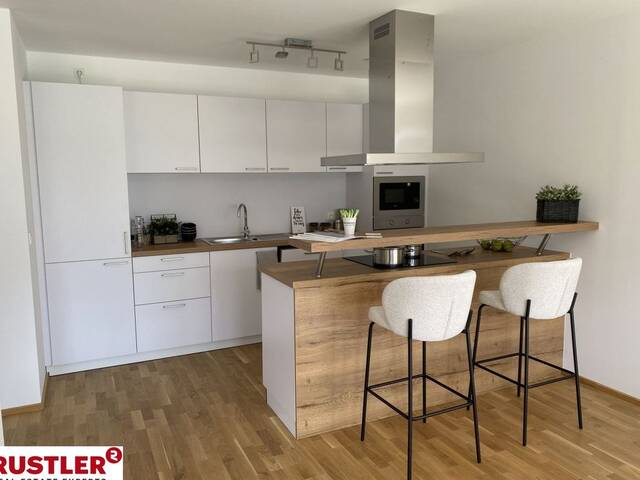 Immobilie in Königstetten - Gartenglück zwischen Wienerwald & Tullnerfeld - Moderne Architektur trifft ländliche Idylle - Bild 2