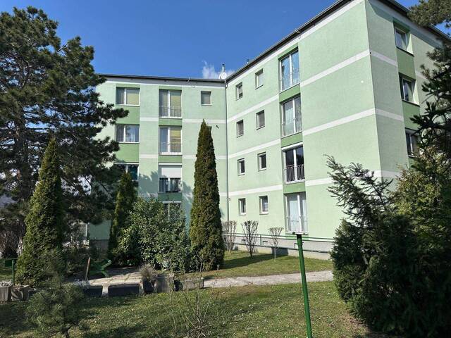 Immobilie in Ebenfurth - Ebenfurth – Startwohnung für Bastler ! - Bild 0