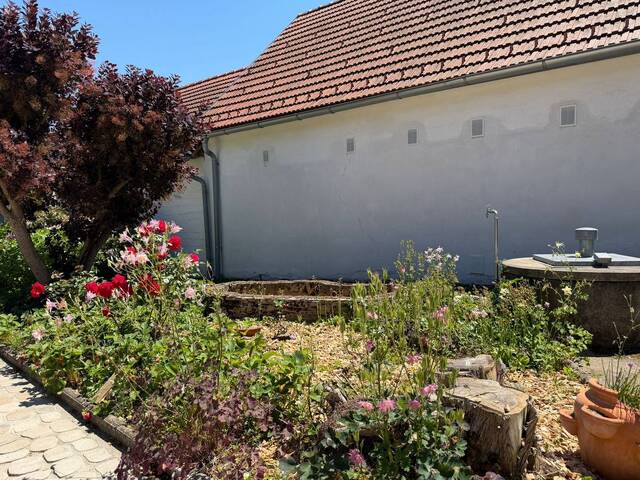Immobilie in Strem - Modernisiertes Wohnhaus mit Einliegerwohnung im sonnigen Südburgenland! - Bild 4