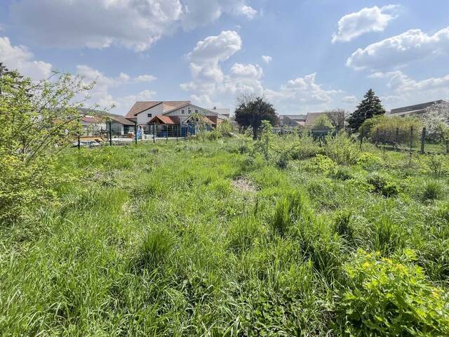 Immobilie in Enzersdorf an der Fischa - Bauernhaus mit viel Grund und Pool - Bild 1