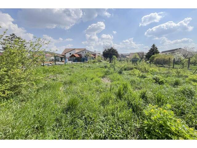 Immobilie in Enzersdorf an der Fischa - Bauernhaus mit viel Grund und Pool - Bild 4