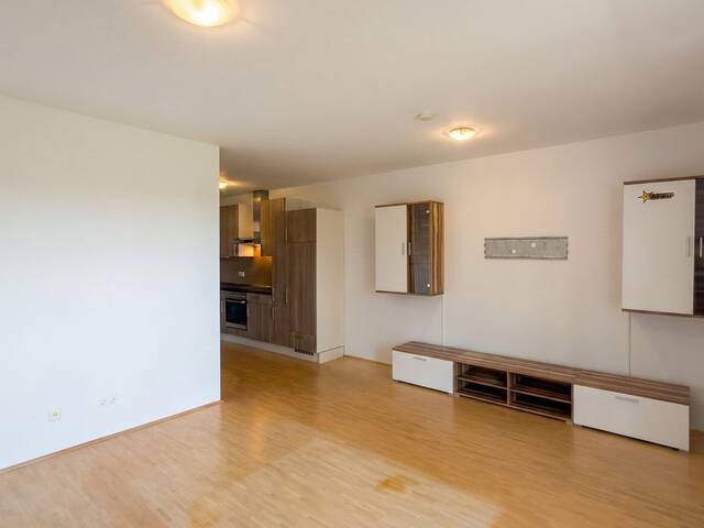 Immobilie in Wildon - Gepflegte 2-Zimmer-Wohnung in Wildon - Sofort beziehbar mit Balkon und Stellplatz - Bild 2