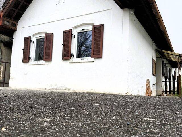 Immobilie in Eisenberg an der Pinka - Sanierungsbedürftiger Weinkeller/Wohnhaus mit Weingarten - Bild 2