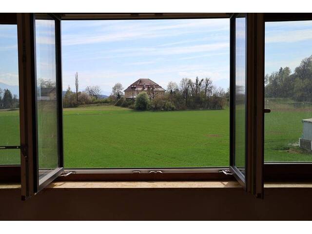 Immobilie in Haimburg - Ein Zweifamilienhaus - Bild 4