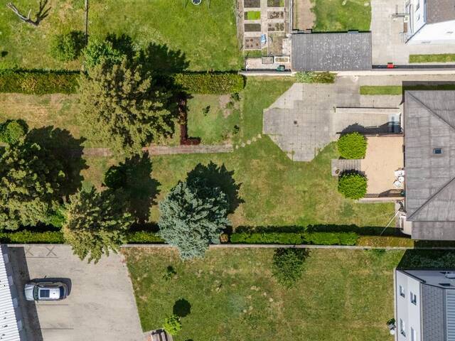 Immobilie in Marchegg - Haus in Marchegg | Grundstück mit 1.222m² | Großzügiger Garten - Bild 2