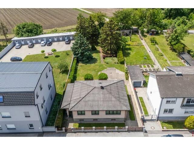 Immobilie in Marchegg - Haus in Marchegg | Grundstück mit 1.222m² | Großzügiger Garten - Bild 4