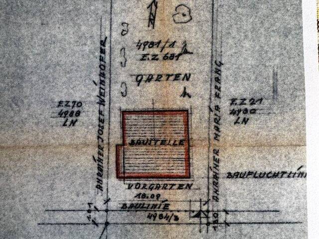 Immobilie in Schrick - Elegantes, gepflegtes Einfamilienhaus mit Garage und uneinsehbarem Garten, Altbaumbestand - Bild 1