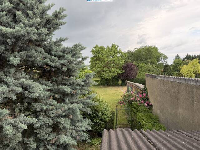 Immobilie in Fels am Wagram - Charmantes Einfamilienhaus in Fels am Wagram - Bild 1