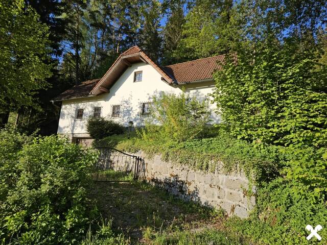 Immobilie in St. Leonhard bei Freistadt - Sternchenbau (ausgewiesene Baufläche) in ruhiger, idyllischer Lage am Waldrand - Bild 3