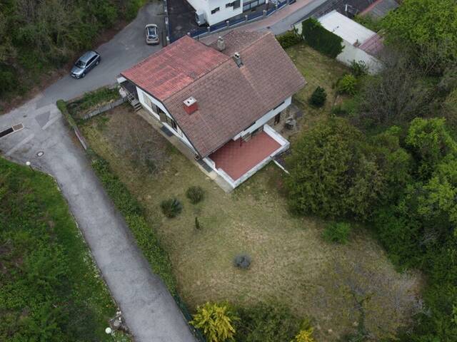 Immobilie in Draßburg - PREISSENKUNG! Ruhelage, Fernblick & Riesengrundstück in Draßburg! - Bild 1