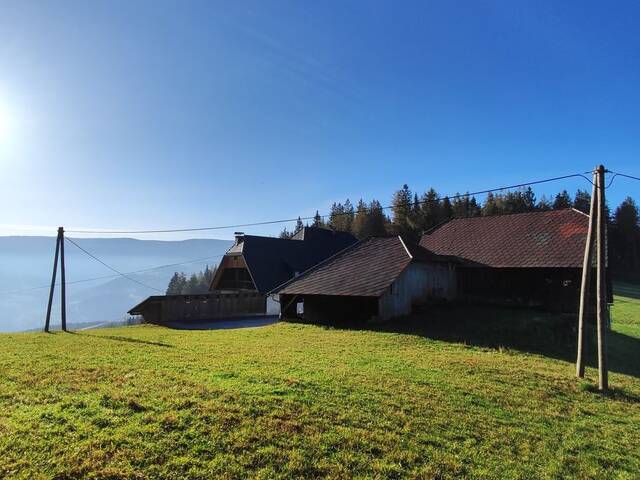 Immobilie in Hirschegg - RÜCKZUGSORT AUF 1200 M SEEHÖHE- NATURIDYLLE MIT WEITBLICK UND VIEL PLATZ FÜR IHRE IDEEN! - Bild 1