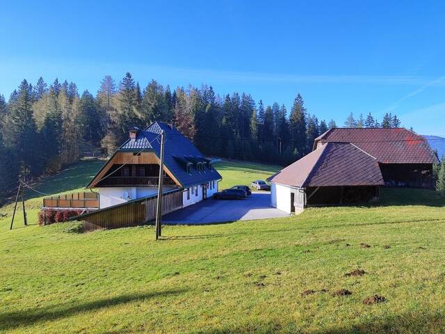 Immobilie in Hirschegg - RÜCKZUGSORT AUF 1200 M SEEHÖHE- NATURIDYLLE MIT WEITBLICK UND VIEL PLATZ FÜR IHRE IDEEN! - Bild 2