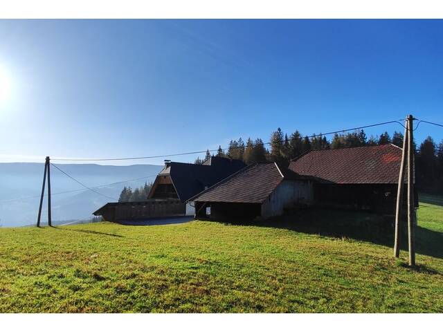 Immobilie in Hirschegg - RÜCKZUGSORT AUF 1200 M SEEHÖHE- NATURIDYLLE MIT WEITBLICK UND VIEL PLATZ FÜR IHRE IDEEN! - Bild 3