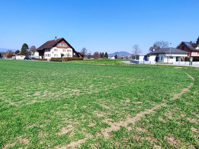 Immobilie in Meiningen - Neubau Einfamilienhaus Meiningen zum Wohnungspreis! Regional - Massiv - HAUS 1 - Bild 0