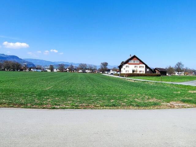 Immobilie in Meiningen - Neubau Einfamilienhaus Meiningen zum Wohnungspreis! Regional - Massiv - HAUS 1 - Bild 1