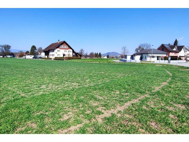 Immobilie in Meiningen - Neubau Einfamilienhaus Meiningen zum Wohnungspreis! Regional - Massiv - HAUS 1 - Bild 3