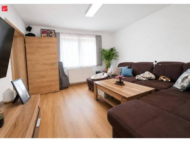 Immobilie in Lafnitz - Kernsaniertes Haus mit 2 Wohneinheiten & Garten nahe Hartberg - Bild 1