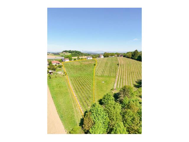 Immobilie in Ilz - Traumhafte Liegenschaft mit Kellerstöckl und Blick auf die Riegersburg - Bild 3