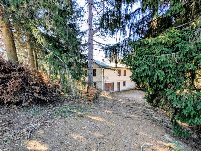 Immobilie in Wolfsgraben - Sanierungbedürftiges Einfamilienhaus auf schönem Waldgrundstück - Bild 0
