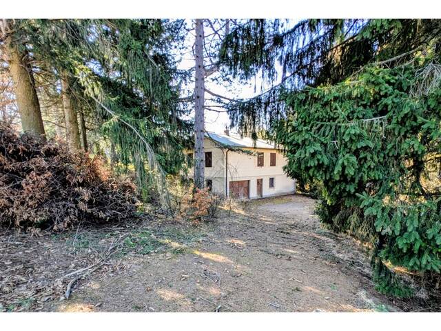 Immobilie in Wolfsgraben - Sanierungbedürftiges Einfamilienhaus auf schönem Waldgrundstück - Bild 3