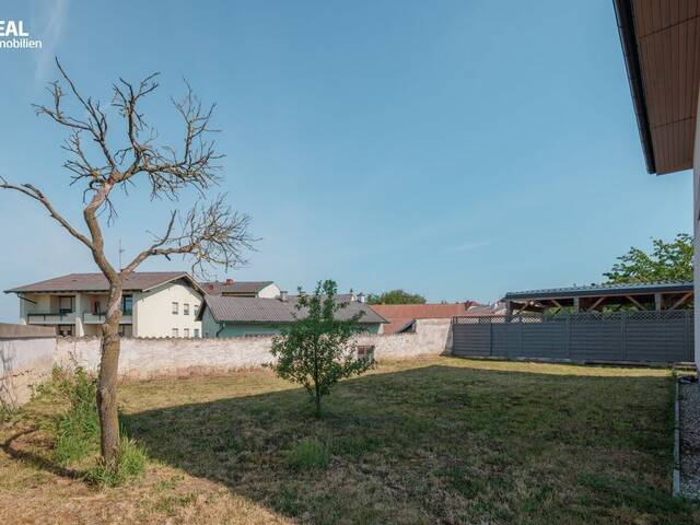 Immobilie in Großweikersdorf - traumhaft gelegenes Passivhaus mit großem Grundstück - Bild 2