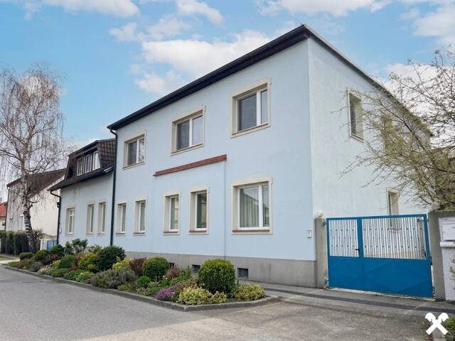 Immobilie in Wiener Neustadt - Anlageobjekt mit 3 eigenständigen Tops und herrlichem Garten - Bild 3
