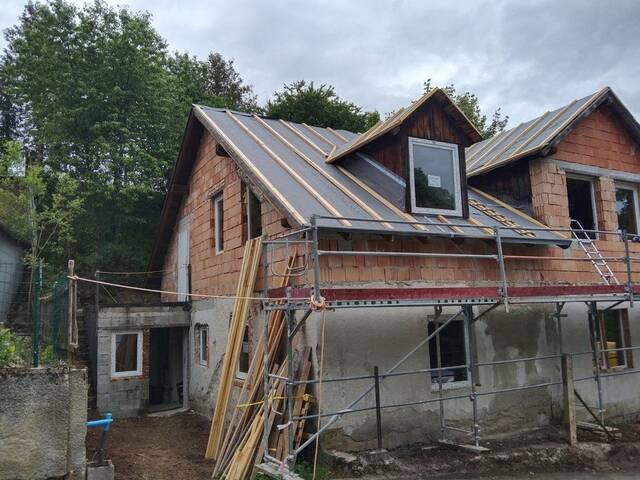 Immobilie in Drosendorf Stadt - Rohbau mit 9500m² Grundstück in Drosendorf/NÖ - Gelegenheit! - Bild 1