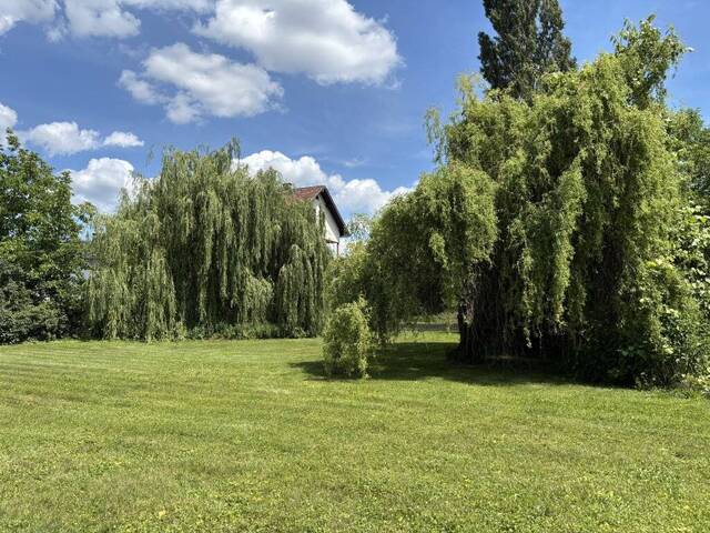 Immobilie in Bad Tatzmannsdorf - Großes Mehrfamilienhaus in super Lage - Bild 4