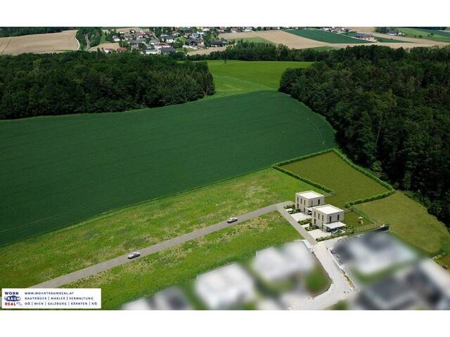 Immobilie in Ruhstetten - Neubau Einfamilienhaus mit Garten und Terrasse am Waldrand (Haus B, projektierter Neubau) - Bild 4