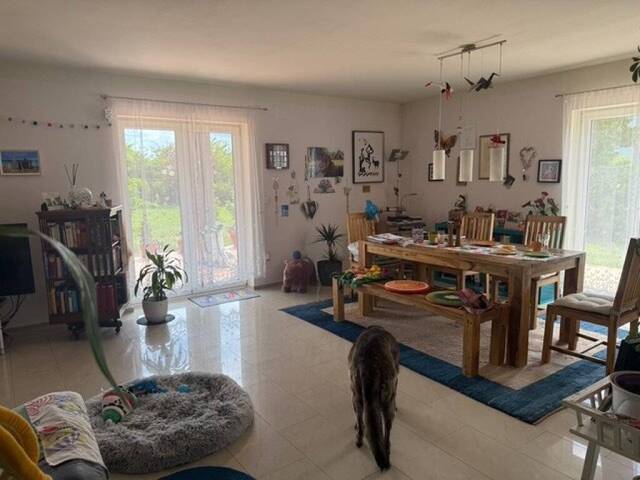 Immobilie in Haringsee - Wohnen in absoluter Ruhelage - Großzügiges Einfamilienhaus mit Garten am Ortsrand von Haringsee - Bild 4