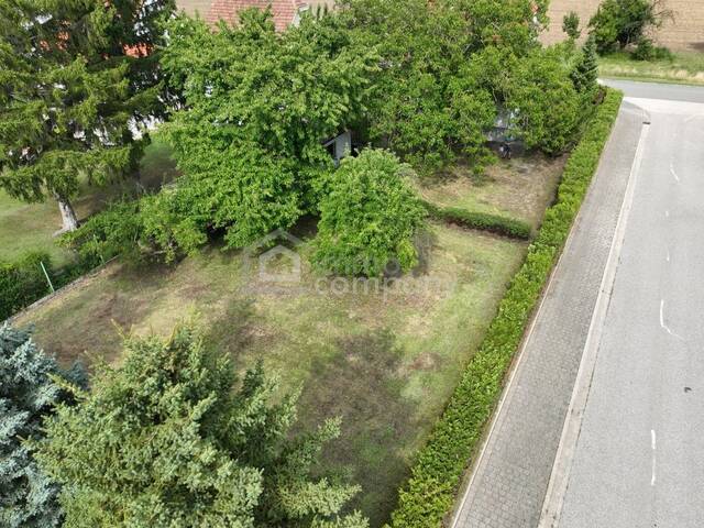 Immobilie in Trautmannsdorf an der Leitha - Renovierungsbedürftiges Haus mit Grünblick in Trautmannsdorf/Leitha zu verkaufen! - Bild 1