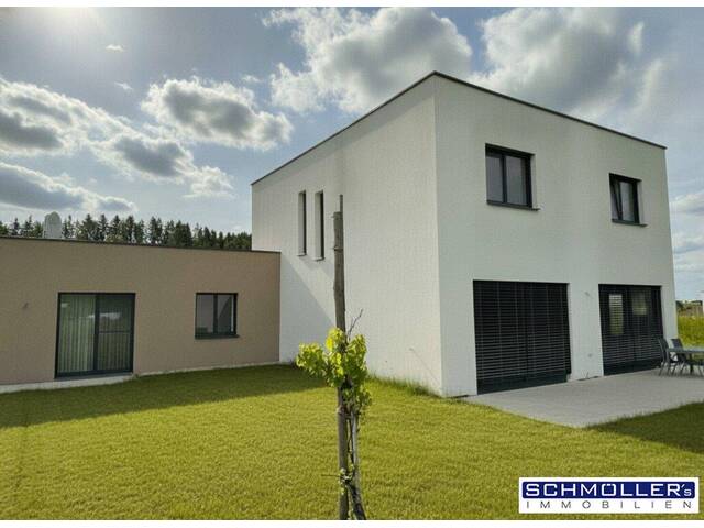 Immobilie in Pennewang - Neubau 2 Familienhaus/Doppelhaus mit großer Garage - Bild 1