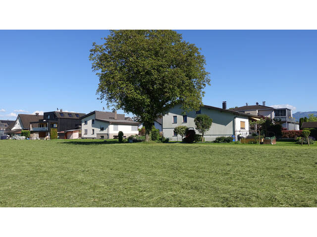 Immobilie in Höchst - großes Wohnhaus mit 720 m² Grund am Ortsrand in ruhiger und sehr schöner Lage - Bild 1