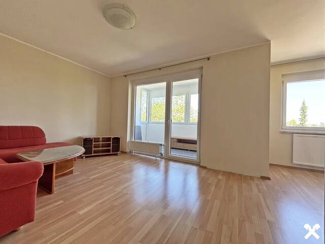 Immobilie in Thalheim bei Wels - Großzügige 2-Zimmerwohnung mit Loggia - Bild 0