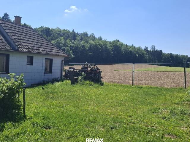 Immobilie in Wald - Idyllischer Hof mit großem Grundstück im Grünen - Bild 1