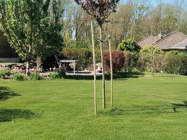 Immobilie in Zagersdorf - Top Einfamilienhaus mit großem Garten in 7012 Zagersdorf - 4 Zimmer, Wintergarten, sehr gepflegt! - Bild 2