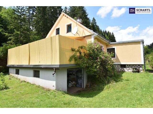 Immobilie in Wies - Großzügiges Einfamilienhaus mit 2.270 m² Grundstück und vielseitigen Nutzungsmöglichkeiten - Bild 2