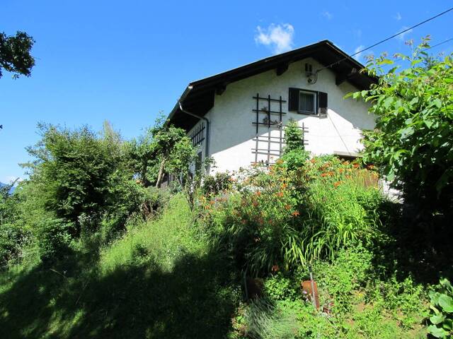 Immobilie in Eichberg - * SÜDSTEIERMARK: EINZIGARTIGE ALLEINLAGE - RUHELAGE MIT HERRLICHEM FERNBLICK: LANDWIRTSCHAFT MIT EINEM EINFAMILIENHAUS UND WIRTSCHAFTSGEBÄUDE * - Bild 2