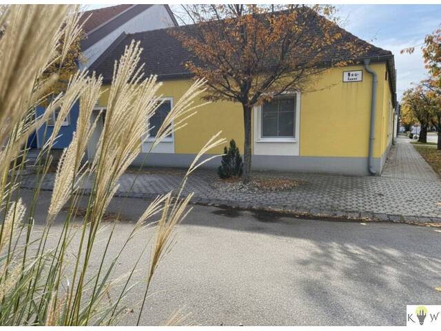 Immobilie in Halbturn - Sofortkauf oder Mietkauf möglich! Wohnhaus mit vielseitigem Wirtschaftsgebäude & Pool – Wohnen und Arbeiten unter einem Dach! - Bild 0