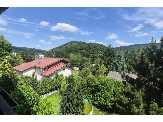 Immobilie in Untertullnerbach - EIN- ZWEIFAMILIENHAUS IN SONNIGER LAGE BEIM WIENERWALDSEE - Bild 4