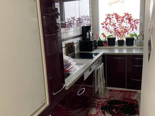 Immobilie in Linz - Helle Wohlfühloase oder Kapitalanlage - Bild 0