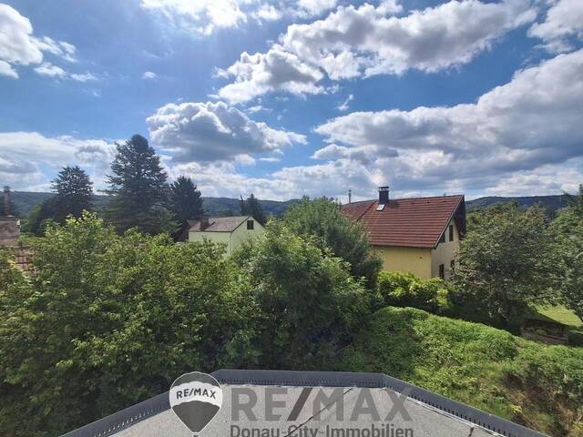 Immobilie in Wördern - Rohdiamant - Haus und Garten zum Fertigstellen - Bild 1