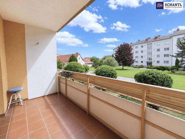 Immobilie in Ebergassing - Großzügige 4-Zimmer-Wohnung mit Loggia in Ebergassing - viel Platz und Gestaltungspotenzial! - Bild 0