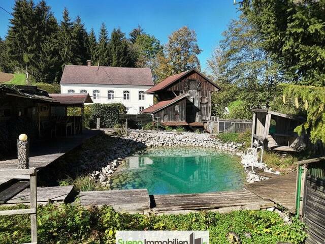 Immobilie in Wartberg an der Krems - ALLEINLAGE-Traum neben Bach samt Teich/Biotop - Bild 1
