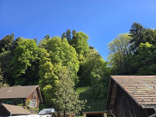 Immobilie in Kennelbach - Lichtdurchflutete Altbau-Maisonette mit Garten – 140 m² Wohngefühl wie im eigenen Haus - Bild 1